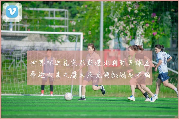 世界杯巡礼突尼斯遭比利时五球羞辱迦太基之鹰未来充满挑战与不确定性
