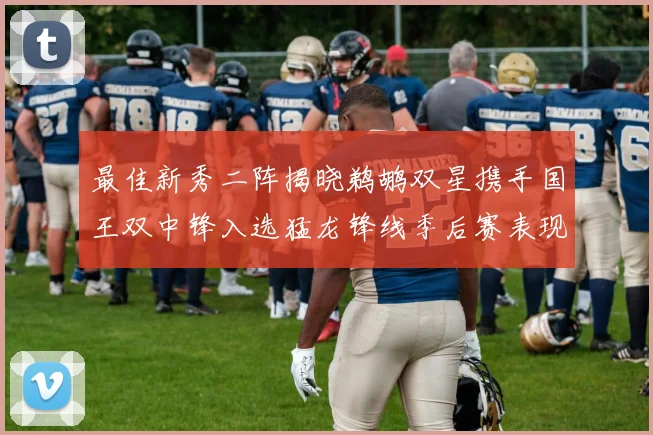 最佳新秀二阵揭晓鹈鹕双星携手国王双中锋入选猛龙锋线季后赛表现抢眼