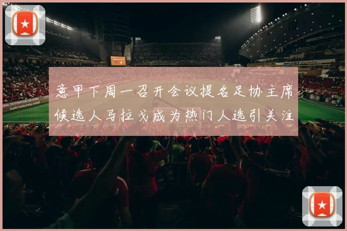 意甲下周一召开会议提名足协主席候选人马拉戈成为热门人选引关注